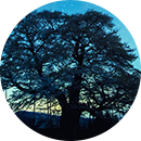 R.Y　44歳　女性